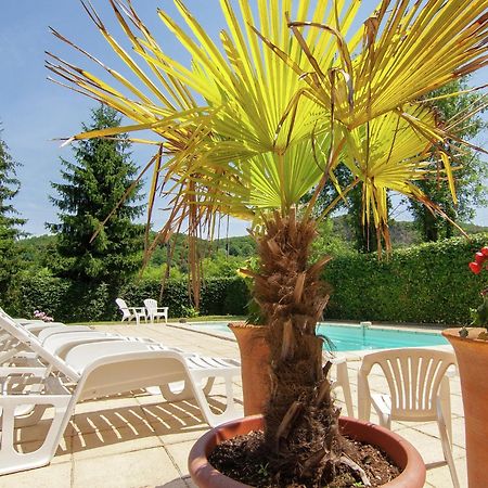 Appealing Apartment In Vezac With Swimming Pool Beynac-et-Cazenac Exterior foto